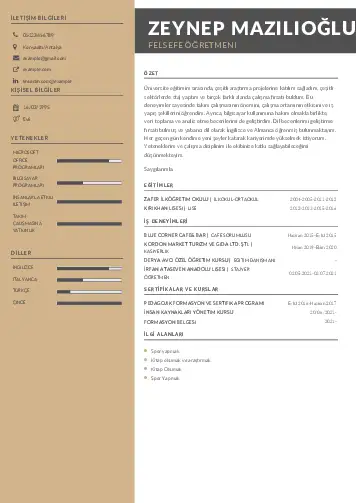 Felsefe Öğretmeni CV Örnekleri cv indir